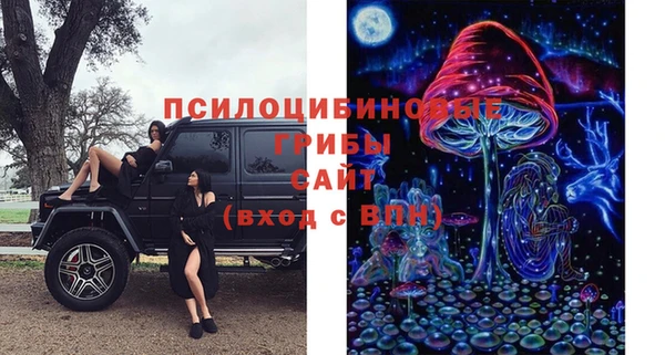 молекула духа Краснотурьинск