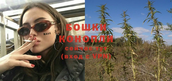 СК Куйбышев